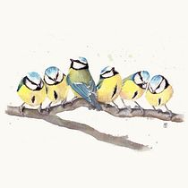 My project in Artistic Watercolor Techniques for Illustrating Birds course. Traditional illustration, Watercolor Painting, Realistic Drawing, and Naturalistic Illustration project by Kateřina Pösingerová - 05.08.2021