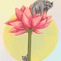 Mi Proyecto del curso: Mapache y Nelumbo. Ilustração tradicional, Artes plásticas, Desenho, Ilustração digital, e Desenho digital projeto de María Perujo Lavín - 19.05.2021