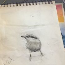 My project in Artistic Watercolor Techniques for Illustrating Birds course. Watercolor Painting, Traditional illustration, Realistic Drawing, and Naturalistic Illustration project by Shina - 05.06.2021