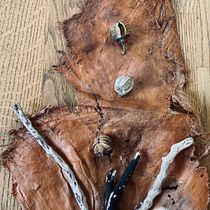 Grow. Een project van Craft van alena_2 - 08.05.2021