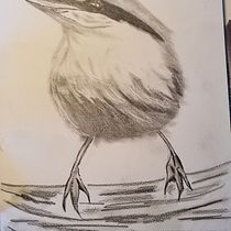 My project in Artistic Watercolor Techniques for Illustrating Birds course - looking at tone. Traditional illustration, and Pencil Drawing project by Beatrix Balazar - 05.11.2021