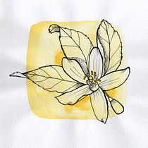 Mi Proyecto del curso: Técnicas de ilustración para desbloquear tu creatividad. Traditional illustration project by Laura Simon - 05.10.2021