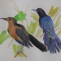 My project in Illustrating Nature: A Creative Exploration course. Traditional illustration project by Sharon Guy - 05.11.2021