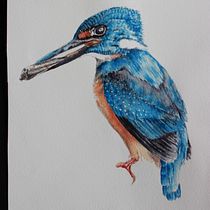 My project in Artistic Watercolor Techniques for Illustrating Birds course. Traditional illustration project by Nga Mai - 05.12.2021
