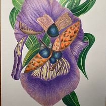 Mein Kursprojekt: Surrealistische Illustration mit Naturinspiration. Traditional illustration, Pencil Drawing, Drawing, Artistic Drawing, and Naturalistic Illustration project by Kathrin Merz - 05.12.2021