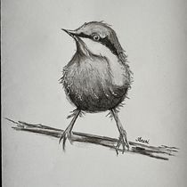 My project in Artistic Watercolor Techniques for Illustrating Birds course. Traditional illustration, and Pencil Drawing project by aneripg84 - 05.07.2021