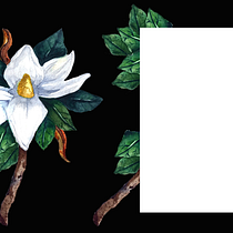 My project in Botanical Illustration with Watercolors course. Ilustração tradicional, Artes plásticas, Pintura, Desenho, Pintura em aquarela e Ilustração botânica projeto de Agne - 13.05.2021