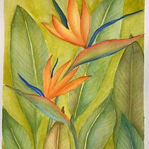 Mi Proyecto del curso: Técnicas de acuarela en negativo para ilustración botánica Ein Projekt aus dem Bereich Aquarellmalerei und Botanische Illustration von marcealejandracastrocaiani - 16.05.2021