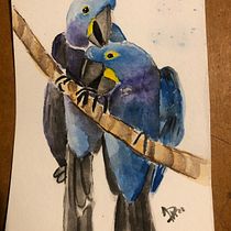 Mi Proyecto del curso: Acuarela artística para ilustración de aves. Traditional illustration, Watercolor Painting, Naturalistic Illustration, and Realistic Drawing project by Desirée Serna - 05.16.2021