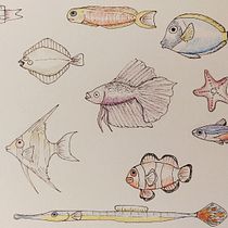 My project in The Art of Sketching: Transform Your Doodles into Art course. Traditional illustration, Pencil Drawing, Drawing, and Sketchbook project by biagio_imitazione - 05.17.2021