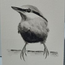 Mi Proyecto del curso: Acuarela artística para ilustración de aves. Traditional illustration, Watercolor Painting, Realistic Drawing, and Naturalistic Illustration project by raquel_rsj - 05.17.2021