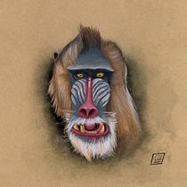 Meu projeto do curso: Ilustração naturalista de animais com Procreate. Un proyecto de Ilustración tradicional, Ilustración digital, Dibujo realista, Ilustración naturalista				, Dirección de arte, Diseño editorial, Diseño de iluminación, Creatividad y Dibujo de Rafael Tadeu Cardoso - 15.05.2021
