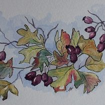 My project in Illustrating Nature: A Creative Exploration course. Traditional illustration, Painting, Drawing, Watercolor Painting, Ink Illustration, and Naturalistic Illustration project by sueh - 05.14.2021