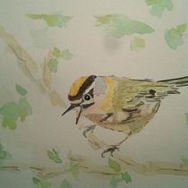 Mon projet du cours : Techniques artistiques d'aquarelle pour illustrer les oiseaux. Traditional illustration, Watercolor Painting, Realistic Drawing, and Naturalistic Illustration project by camille_leveque - 05.19.2021