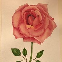 My project in Botanical Sketchbooking: A Meditative Approach course. Esboçado, Desenho, Pintura em aquarela, Ilustração botânica, Sketchbook e Ilustração tradicional projeto de Peta Rutherford - 19.05.2021