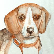 My project in Experimental Watercolor Techniques for Beginners course. Traditional illustration, Fine Arts, Watercolor Painting, and Naturalistic Illustration project by suep - 05.20.2021