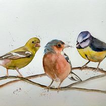 Il mio progetto del corso: Acquerello artistico per illustrazione di animali: gli uccelli. Traditional illustration, Watercolor Painting, Realistic Drawing, and Naturalistic Illustration project by giuliana_davanzo - 05.23.2021