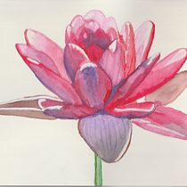 Mi Proyecto del curso: Ilustración botánica con acuarela. Ilustração tradicional, Artes plásticas, Pintura, Desenho, Pintura em aquarela e Ilustração botânica projeto de Sandra Cabrera Patiño - 23.05.2021