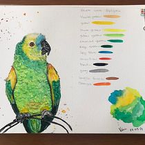 Meu projeto do curso: Técnicas expressivas de aquarela para ilustração de pássaros. Traditional illustration, Watercolor Painting, Realistic Drawing, and Naturalistic Illustration project by Vânia Brandao - 05.24.2021