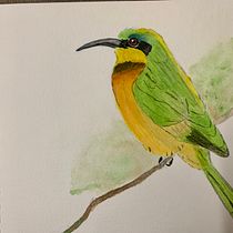 My project in Artistic Watercolor Techniques for Illustrating Birds course. Traditional illustration, Watercolor Painting, Realistic Drawing, and Naturalistic Illustration project by Bharath Narendra - 05.24.2021
