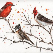Mi Proyecto del curso: Acuarela artística para ilustración de aves. Traditional illustration, Watercolor Painting, Realistic Drawing, and Naturalistic Illustration project by Silvia Liliana Garavagno - 05.23.2021