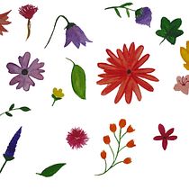 My project in Vibrant Floral Patterns with Watercolors course. Traditional illustration, Pattern Design, Watercolor Painting, and Botanical Illustration project by sindhu.eswaran - 05.27.2021