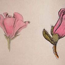 Mi Proyecto del curso: Cuaderno botánico en acuarela. Un progetto di Illustrazione tradizionale, Pittura ad acquerello, Illustrazione botanica e Sketchbook di Pilar Rodriguez Habela - 27.05.2021