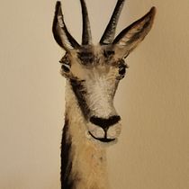 Camoscio delle Alpi. Un progetto di Illustrazione tradizionale, Belle arti, Pittura ad acquerello e Illustrazione naturalistica di Alice Baldin - 27.05.2021