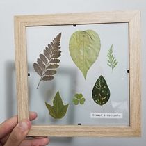 Mi Proyecto del curso: Técnicas básicas de prensado botánico. Un progetto di Artigianato, Belle arti, Collage e DIY di Camila Toledo - 26.05.2021