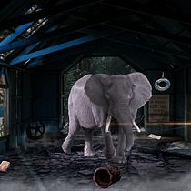 Fotomontage . Photograph, Photograph, Post-production, VFX, Photo Retouching, Fine-Art Photograph, Photographic Composition, and Photomontage project by Jonathan Ferman - 05.26.2021