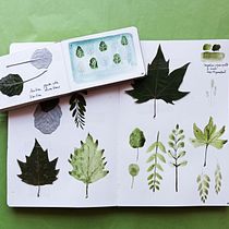 Mi Proyecto del curso: Cuaderno botánico. Un progetto di Illustrazione tradizionale, Pittura ad acquerello, Illustrazione botanica e Sketchbook di Maribel Tornero Brugués - 30.05.2021
