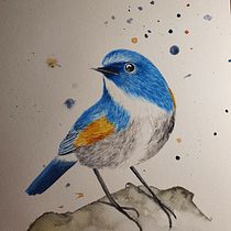 Mi Proyecto del curso: Acuarela artística para ilustración de aves. Traditional illustration, Watercolor Painting, Realistic Drawing, and Naturalistic Illustration project by Monica Gallegos - 05.28.2021