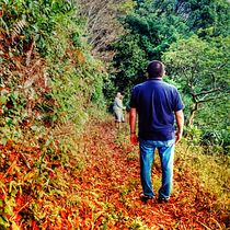 Mi Proyecto del curso: Fotografía y composición para Instagram. Social Media, Mobile Photograph, Digital Marketing, Digital Photograph, Instagram, Instagram Photograph, Photographic Composition, and Photograph project by Diana Rodríguez - 05.29.2021