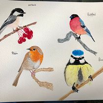 My project in Artistic Watercolor Techniques for Illustrating Birds course. Traditional illustration, Watercolor Painting, Realistic Drawing, and Naturalistic Illustration project by Rachael Perkins - 05.29.2021