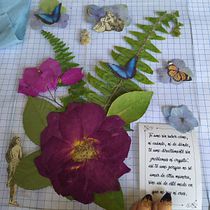 Mi Proyecto del curso: Técnicas básicas de prensado botánico. Un progetto di Artigianato, Belle arti, Collage e DIY di María de Lourdes Medina Carbajal - 16.05.2021