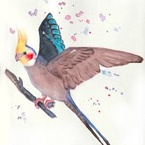 Mein Kursprojekt: Illustriere Vögel mit expressiven Aquarelltechniken. Traditional illustration, Watercolor Painting, Realistic Drawing, and Naturalistic Illustration project by Claudia Tropiano - 05.30.2021