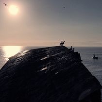 Proyecto Dron - Isla Rocuant Talcahuano Chile. Cinema, Vídeo e TV, Cinema, e Realização audiovisual projeto de Camilo Eduardo - 31.05.2021