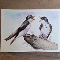 Il mio progetto del corso: Acquerello artistico per illustrazione di animali: gli uccelli. Traditional illustration, Watercolor Painting, Realistic Drawing, and Naturalistic Illustration project by Lucia Darie - 05.31.2021