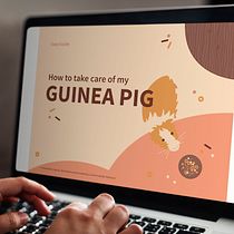 Mi Proyecto del curso: Principios de diseño para presentaciones. Un progetto di Gestione progetti di design, Graphic design, Marketing e Comunicazione di Lisa Fernández Karlsson - 31.05.2021