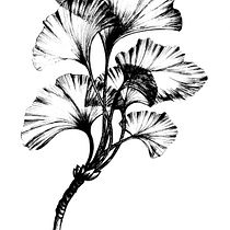 Meu projeto do curso: Desenho de tatuagem blackwork. Un proyecto de Ilustración tradicional, Ilustración digital y Diseño de tatuajes de lisa.penedo - 31.05.2021