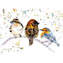 Meu projeto do curso: Técnicas expressivas de aquarela para ilustração de pássaros. Traditional illustration, Watercolor Painting, Realistic Drawing, and Naturalistic Illustration project by Fabiane Dantas - 05.31.2021