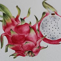 Mi Proyecto del curso: Cuaderno botánico en acuarela. Un progetto di Illustrazione tradizionale, Pittura ad acquerello, Illustrazione botanica e Sketchbook di Mari Nuñez - 27.05.2021
