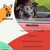 Mi Proyecto del curso: Creación y edición de contenido para Instagram Stories. Social Media, Mobile Photograph, Digital Marketing, Digital Photograph, Mobile Marketing, Instagram, Content Marketing, Instagram Photograph, Instagram Marketing, Lifest, and le Photograph project by kelacaxper_1 - 05.29.2021