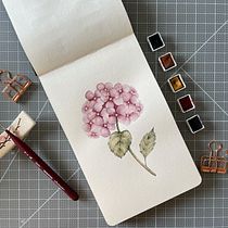 Mi Proyecto del curso: Cuaderno botánico en acuarela. Projekt z dziedziny Trad, c, jna ilustracja, Malowanie akwarelą, R, sunek botaniczn i Sketchbook użytkownika Carla - 02.06.2021