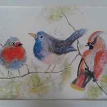 My project in Artistic Watercolor Techniques for Illustrating Birds course. Traditional illustration, Watercolor Painting, Realistic Drawing, and Naturalistic Illustration project by Jeanie Robertson - 05.16.2021