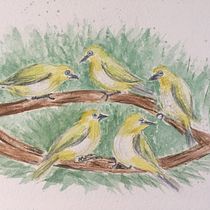 My project in Artistic Watercolor Techniques for Illustrating Birds course. Projekt z dziedziny Trad, c, jna ilustracja, Malowanie akwarelą, R, sunek realist, czn, Ilustracja naturalist i czna użytkownika Margaret Phillips - 02.06.2021