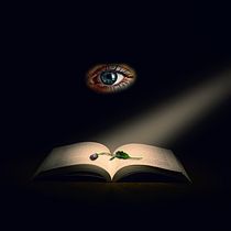 Mi Proyecto del curso: Fotomontaje mágico en Photoshop: crea metáforas visuales. Projekt z dziedziny Postprodukcja fotograficzna, Retuszowanie fotografii, Fotografia c, frowa,  Kompoz, cja w fotografii i Fotomontaż użytkownika Roberto Gejman - 02.06.2021