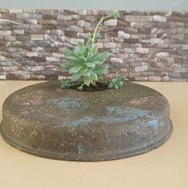 My project in Decorative Techniques with Concrete course. Accessor, Design, Arts, Crafts, Interior Design, Interior Decoration, and DIY project by Lloyd Poinen - 05.31.2021