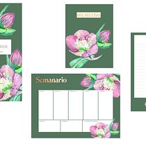 Mi Proyecto del curso: Ilustración botánica con acuarela. Ilustração tradicional, Artes plásticas, Pintura, Desenho, Pintura em aquarela e Ilustração botânica projeto de Claudie Cousin - 03.06.2021