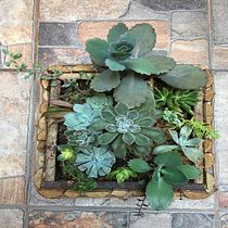 Mi Proyecto del curso: Diseño y creación de composiciones botánicas. Un progetto di Interior design, Paesaggismo, Interior Design e DIY di Abigail Robles - 03.06.2021